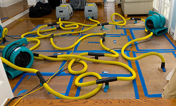 Professional Basement Flood Cleanup technician working in Crofton, MD